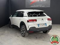 Usata Citroën C4 Cactus Shine 110 CV (80 kW) 2018 Bianco Utilitaria