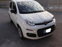 Usata Fiat Panda 70 CV (51 kW) 2019 Bianco Utilitaria