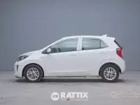 Usata Kia Picanto Urban 67 CV (49 kW) 2024 Bianco Utilitaria