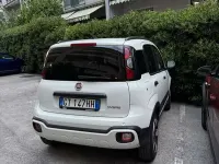 Usata Fiat Panda Cross Cross 71 CV (52 kW) 2024 Utilitaria
