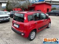 usata Fiat Panda 1.2 Easy