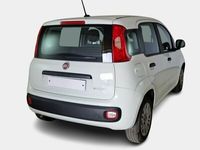 usata Fiat Panda 1.0 70cv S&S Hybrid 5 PORTE