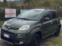 Usata Fiat Panda 4x4 Climbing 95 CV (69 kW) 2018 Verde Utilitaria
