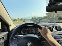 Usata Alfa Romeo MiTo 77 CV (56 kW) 2012 Nero Utilitaria