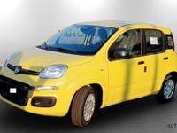Nuova Fiat Panda Icon 69 CV (50 kW) 2025 Giallo Utilitaria