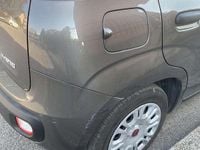 Usata Fiat Panda S 69 CV (50 kW) 2021 Grigio Utilitaria