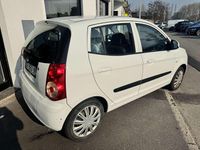 Usata Kia Picanto 60 CV (44 kW) 2009 Bianco Utilitaria