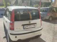 Usado Fiat Panda 4x4 60 CV (44 kW) 2005 Other Utilitario