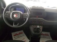 Nuova Fiat Panda Pop 65 CV (47 kW) 2026 Giallo Utilitaria