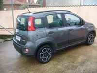 Usata Fiat Panda 69 CV (50 kW) 2021 Grigio Berlina