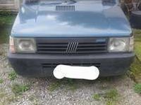 usata Fiat Panda 900 i.e. cat Young