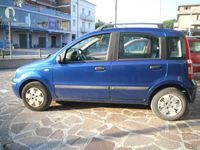 usata Fiat Panda 2ª serie 1.2 Dynamic