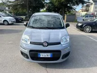 Usata Fiat Panda Easy 69 CV (50 kW) 2019 Utilitaria