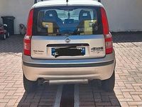 Usata Fiat Panda 4x4 2006 Grigio Utilitaria