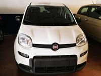 Nuova Fiat Panda S 69 CV (50 kW) 2025 Bianco Utilitaria