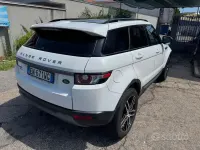 Usata Land Rover Range Rover evoque 150 CV (110 kW) 2013 Bianco SUV