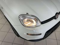 Usata Fiat Panda City Life 69 CV (50 kW) 2022 Bianco Utilitaria