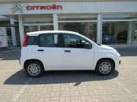 Nuova Fiat Panda Icon 65 CV (47 kW) 2026 Bianco Utilitaria