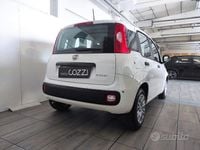 Nuova Fiat Panda S 70 CV (51 kW) 2025 Bianco Utilitaria
