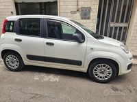 usata Fiat Panda 3ª serie 2022 Hybrid - Bianca