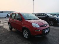 usata Fiat Panda Panda My24 1.0 70cv Hybrid