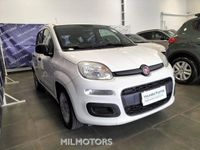 usata Fiat Panda 1.2 EasyPower Easy usato