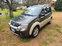 Usata Fiat Panda Cross 77 CV (56 kW) 2010 Verde Utilitaria