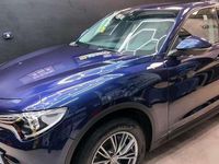 Usata Alfa Romeo Stelvio 209 CV (153 kW) 2017 Blu/azzurro SUV