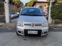 Usata Fiat Panda 4x4 Climbing 60 CV (44 kW) 2010 Argento Utilitaria