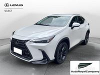 Usata Lexus NX350 243 CV (178 kW) 2024 Berlina