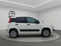 Usata Fiat Panda 4x4 Pop 85 CV (62 kW) 2020 Bianco Utilitaria