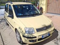 Usata Fiat Panda Dynamic 60 CV (44 kW) 2009 Giallo Utilitaria