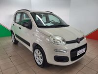 usata Fiat Panda Panda