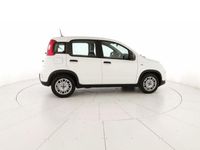 usata Fiat Panda 1.0 firefly hybrid s&s 70cv