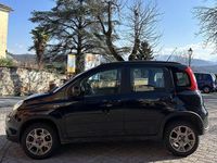 Usata Fiat Panda 4x4 S 95 CV (69 kW) 2016 Utilitaria