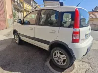 Usata Fiat Panda 4x4 75 CV (55 kW) 2012 Bianco Utilitaria
