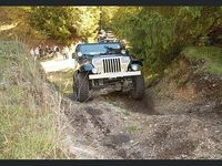 Usata Jeep Wrangler Laredo 120 CV (88 kW) 1994 Nero SUV