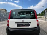 Usata Fiat Panda Active 54 CV (39 kW) 2009 Bianco Utilitaria