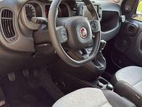 Usata Fiat Panda Cross Cross 90 CV (66 kW) 2022 Utilitaria