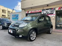 Usata Fiat Panda 4x4 S 95 CV (69 kW) 2016 Verde Utilitaria