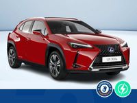 usata Lexus UX 300e Luxury