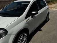 usata Fiat Punto Evo 5p 1.3 mjt 75cv Young