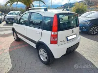Usata Fiat Panda 4x4 Climbing 69 CV (50 kW) 2010 Bianco Utilitaria
