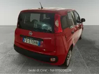 Usata Fiat Panda Lounge 69 CV (50 kW) 2019 Rosso Utilitaria
