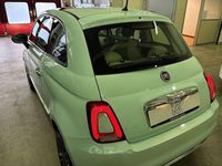 Usata Fiat 500 Lounge 69 CV (50 kW) 2016 Verde latte e menta Utilitaria