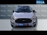 usata Ford Ecosport 1.0 EcoBoost 125 CV Start&Stop Active del 2021 usata a Molfetta