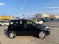 Usata Fiat Panda S 69 CV (50 kW) 2025 Nero / pastello Utilitaria