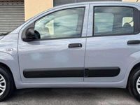 Usata Fiat Panda Easy 69 CV (50 kW) 2018 Grigio moda Utilitaria