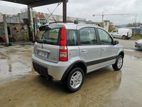Usata Fiat Panda 4x4 74 CV (54 kW) 2009 Argento Utilitaria
