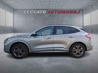 Usata Ford Kuga ST-Line 224 CV (164 kW) 2023 Argento SUV